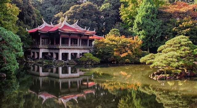 tokyo, park, nature, japan, asia, landscape, autumn, fall, garden, tokyo, tokyo, tokyo, tokyo, tokyo